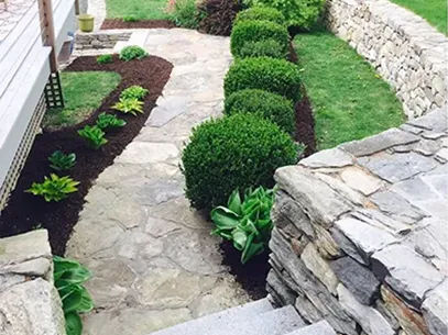 Landscaping